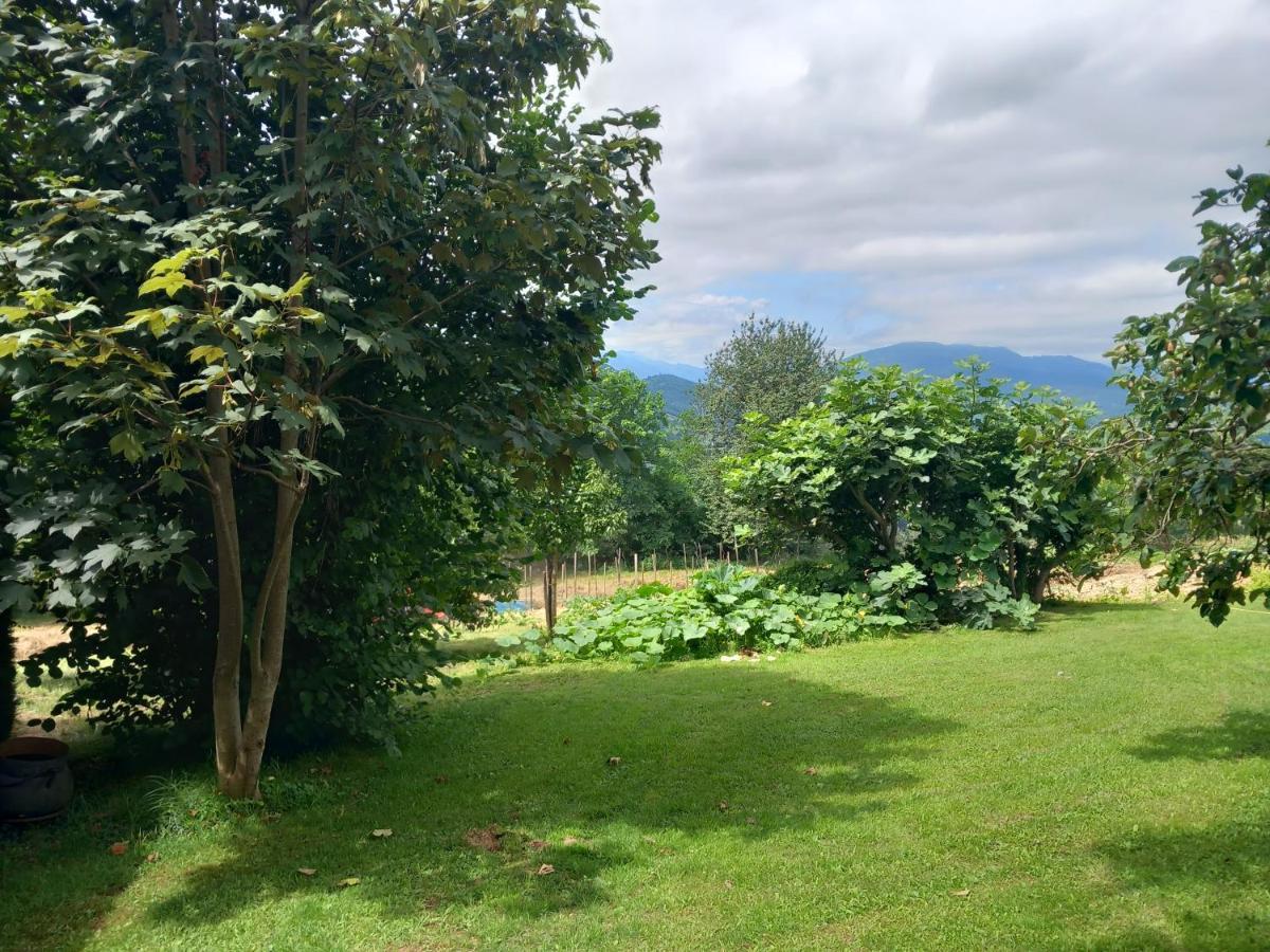 Maisonnette A La Campagne Ariege Villa Saint-Girons  Exterior foto